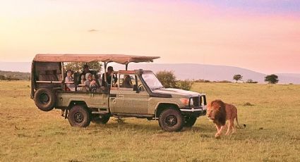 Lugares de México para disfrutar un safari y experiencias salvajes en las vacaciones de diciembre