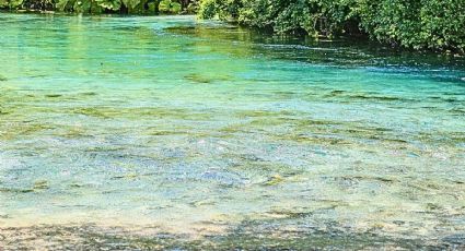 Así puedes llegar al Pueblo Mágico de manantiales en Hidalgo con menos de 400 pesos desde CDMX