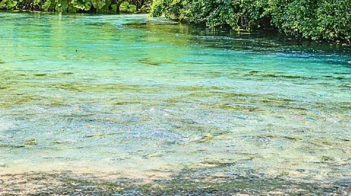 Así puedes llegar al Pueblo Mágico de manantiales en Hidalgo con menos de 400 pesos desde CDMX