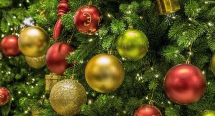 Fiesta en Quecholac: anuncian encendido de 10 árboles en municipio