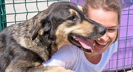 Centro de Transferencia Canina del Metro: Así puedes ayudar con donativos para perritos