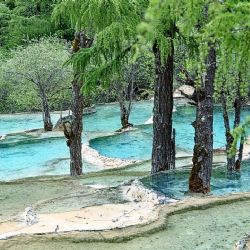 ¿Cómo llegar a las aguas termales cercanas a un Pueblo Mágico de Morelos entre cabañas?