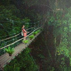 Cómo llegar en autobús al pequeño Pueblo Mágico de Puebla con cabañas y puente colgante en el bosque
