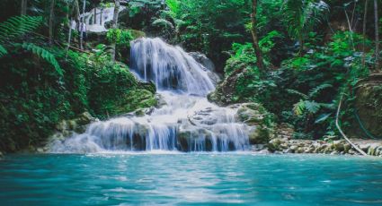 Mil Cascadas: Cuánto cuesta visitar este paraíso natural en el Pueblo Mágico de Taxco