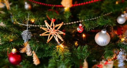 Tren Suburbano tendrá encendido de árbol de Navidad y así puedes disfrutarlo: FECHA