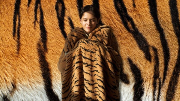 ¿Mucho frío? El pueblito de México donde se elaboran las cobijas de tigre