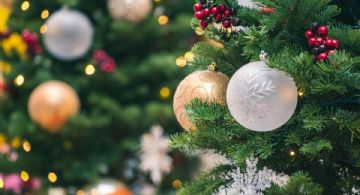 Feria del Árbol y la Esfera Chignahuapan 2025: fechas oficiales y artistas confirmados