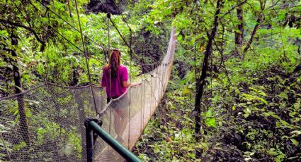 Puentes colgantes entre nubes y cascadas de Puebla para una aventura en la naturaleza