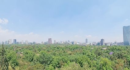 Bosque de Chapultepec comparte actividades Navideñas para diciembre 2025