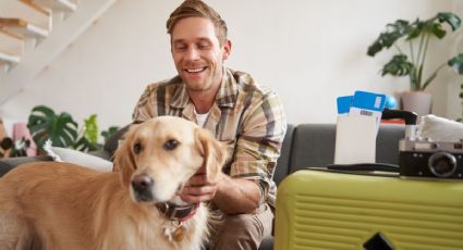 Viajes pet-friendly: el error que cometen muchos viajeros y que les impide llevar a sus mascotas