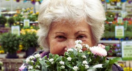 Descuentos INAPAM: ¿Quienes deben renovar la credencial para seguir obteniendo beneficios?