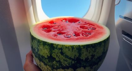 Ingeniera en alimentos explica qué alimentos comer y cuáles evitar antes de un vuelo largo.