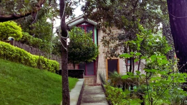 Cabañas entre el bosque de Morelos a menos de una hora de la CDMX para un viaje de finde