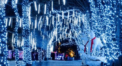 Noelandia, el parque navideño de Puebla: cómo llegar y qué ver