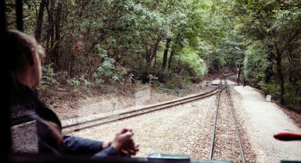 Tren México-Querétaro confirma las estaciones que darán servicio en sus vías
