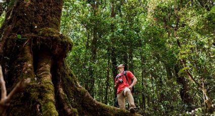 Los 3 mejores Pueblos Mágicos de Veracruz para hacer ecoturismo