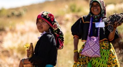 De la sagrada Ruta Wixárika a Patrimonio Mundial: un viaje cultural que debes conocer