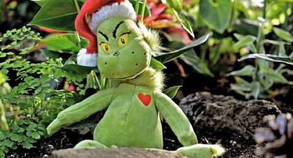 Esta es la Casa del Grinch que podrás visitar en CDMX esta Navidad