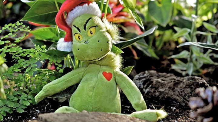 Esta es la Casa del Grinch que podrás visitar en CDMX esta Navidad