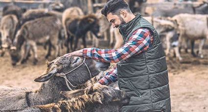 Tribilín, el burrito rescatado presume su viaje por la CDMX y cautiva las redes sociales