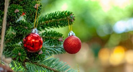 ¿Cuándo encenderán el árbol de Navidad en Pachuca este 2025?