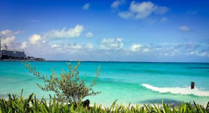 ¿Plan de vacaciones? Calendario de eventos en el Caribe mexicano para diciembre 2025