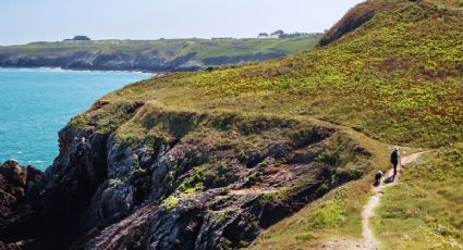 Ruta entre la selva, playas escondidas, acantilados volcánicos y cuevas marinas de Veracruz