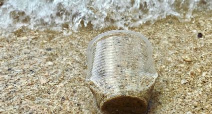 ¿Por qué debes EVITAR usar plásticos durante tus viajes a la playa?