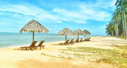 ¿Cuáles serán las mejores playas de México para ir con niños en 2026, según la IA?