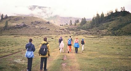 ¿Cómo obtener el 50% de descuento en viajes de autobús si eres maestro o alumno?