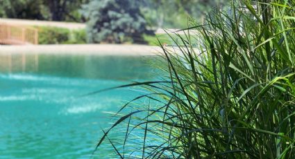 ¿Cómo llegar en autobús a los balnearios de aguas termales más recomendables de Hidalgo?