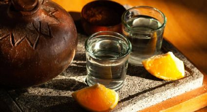 Edomex recibió denominación de origen del mezcal en 15 municipios, ¿cuáles son?
