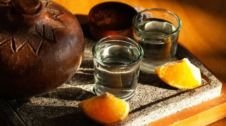 Edomex recibió denominación de origen del mezcal en 15 municipios, ¿cuáles son?