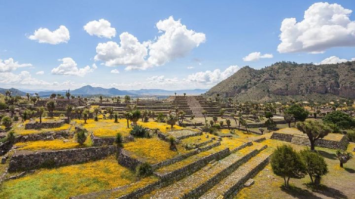 La zona arqueológica más GRANDE de México para ir en vacaciones