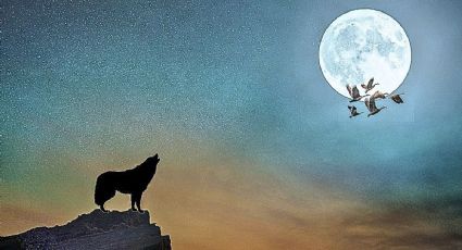 Espectáculo en el cielo: fecha exacta para disfrutar la primera superluna del 2026