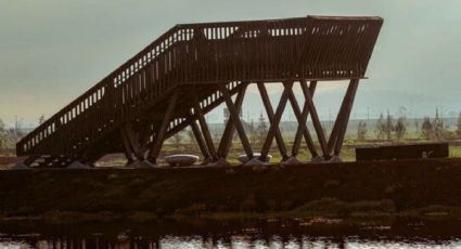 Parque Ecológico Lago de Texcoco: Costo de entrada, horarios y cómo llegar