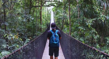 5 cosas qué hacer en el pequeño Pueblo Mágico de Puebla con cabañas y puente colgante entre bosques