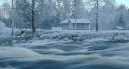 Así fue la caída de nieve en Cofre de Perote en Veracruz