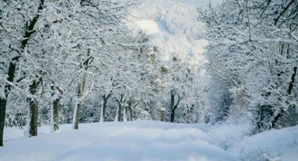 ¿Amas el frío? Estos son los 5 lugares con las temperaturas más bajas en México