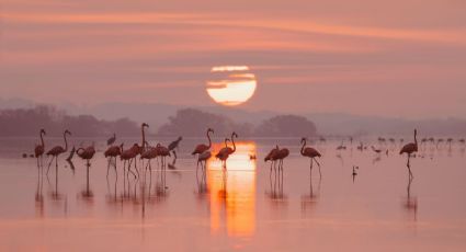 ¿Cuáles son los precios de los paquetes Grupo Mundo Maya y cómo adquirirlos?