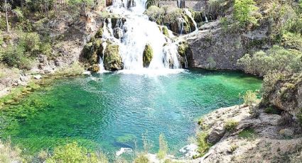 Recorre el único río vivo de la CDMX y disfruta un paseo al natural