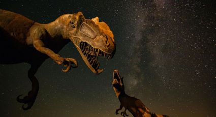 ¡Confirmado! INAH descubrió huellas de dinosaurios en la Reserva de la Biosfera Tehuacán-Cuicatlán