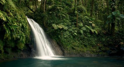 Los 3 mejores Pueblos Mágicos de Veracruz para hacer ecoturismo