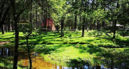 El pueblito de Chiapas con grutas naturales, cabañas y paseos a caballo para ir el finde