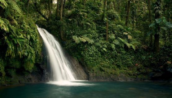 Los 3 mejores Pueblos Mágicos de Veracruz para hacer ecoturismo