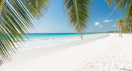 De Tulum a Punta Allen: Así es el recorrido de 60 kilómetros con vistas espectaculares