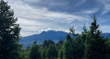 El pueblito con el bosque de árboles de Navidad más grande del mundo cerca de la CDMX