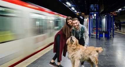 Tren Suburbano da recomendaciones para viajar con tu mascota a bordo de sus vagones