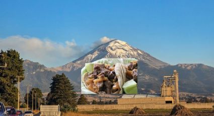 Festival del Taco y el Asado 2025 llega al Popocatépetl con los mejores sabores y vistas únicas