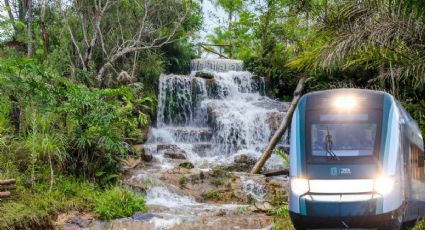 Tren Maya: Las increíbles reservas de la biósfera que puedes visitar desde sus estaciones